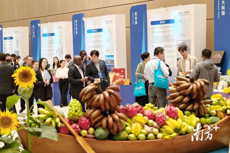 国际贸易代理:连接全球市场的桥梁